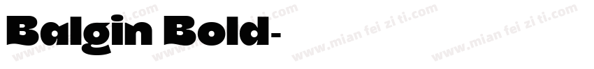 Balgin Bold字体转换